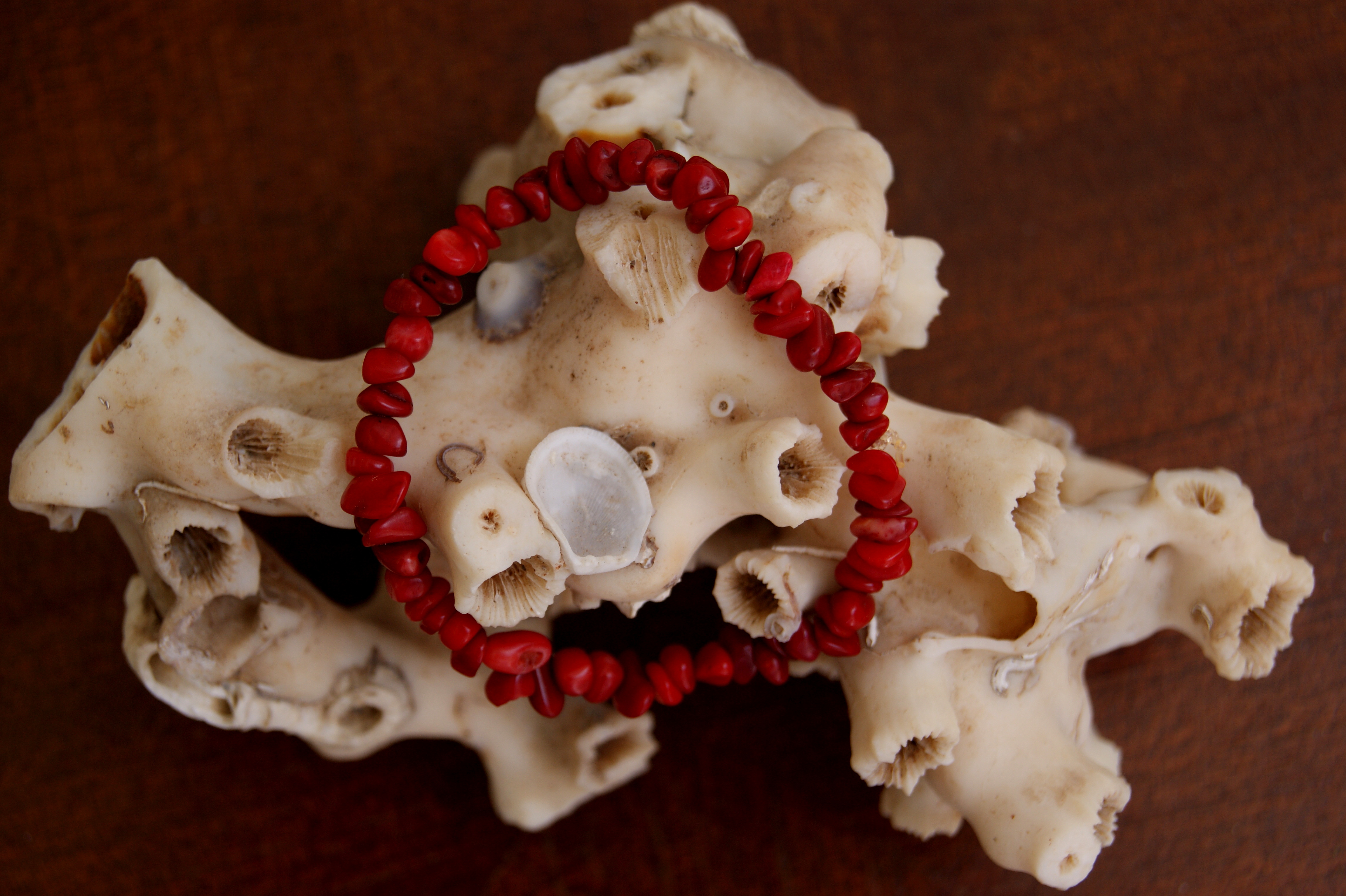 Coral